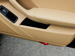 20134 Platinum Edition g