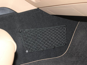 20134 Platinum Edition g