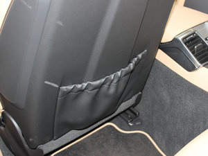 20134 Platinum Edition g