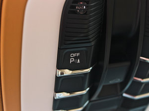 20134 Platinum Edition g