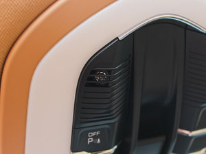 20134 Platinum Edition g