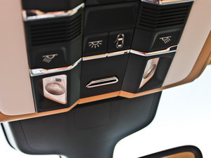 20134 Platinum Edition g