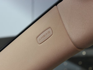 20134 Platinum Edition g