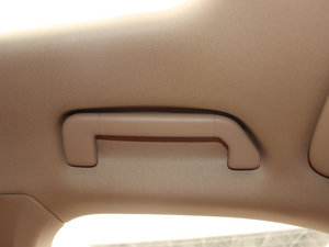 20134 Platinum Edition g