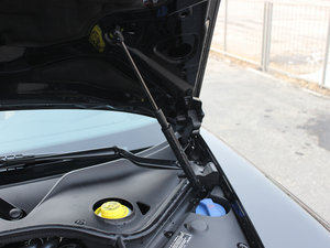 20134 Platinum Edition 