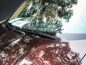 2013Platinum Edition ˢ