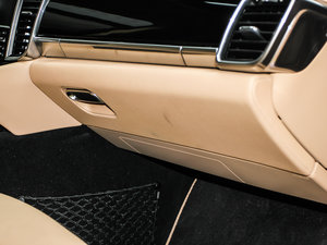 2013Platinum Edition g