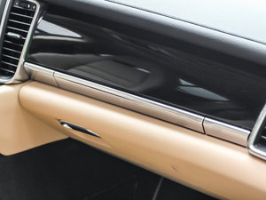 2013Platinum Edition g