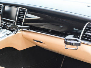 2013Platinum Edition g