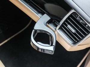 2013Platinum Edition g