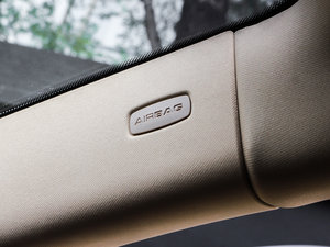 2013Platinum Edition g