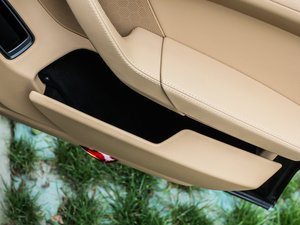 2013Platinum Edition g