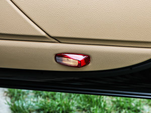 2013Platinum Edition g