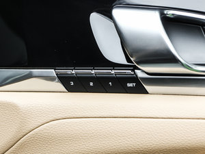 2013Platinum Edition g