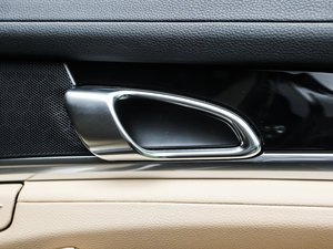 2013Platinum Edition g