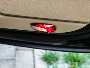 2013Platinum Edition g