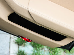 2013Platinum Edition g