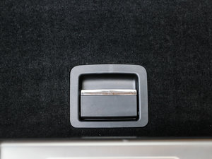 2013Platinum Edition g