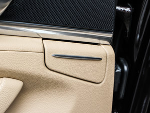 2013Platinum Edition g