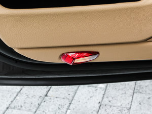 2013Platinum Edition g