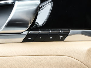 2013Platinum Edition g