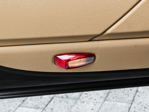 2013Platinum Edition g