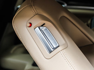 2013Platinum Edition g