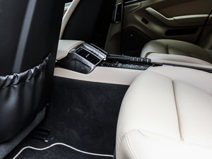 2013Platinum Edition g