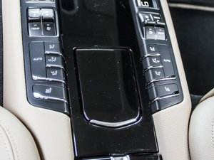 2013Platinum Edition g