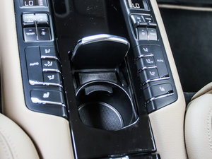 2013Platinum Edition g