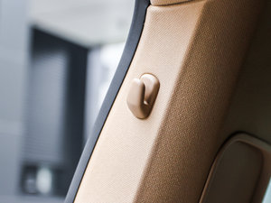 2013Platinum Edition g