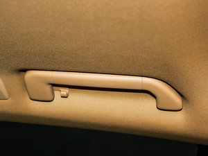 2013Platinum Edition g