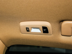 2013Platinum Edition g