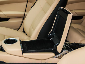 2013Platinum Edition g