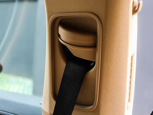 2013Platinum Edition g