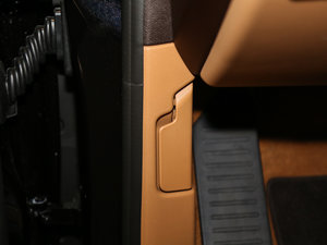 2016Platinum Edition g