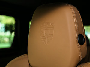 2016Platinum Edition g