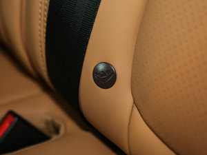 2016Platinum Edition g