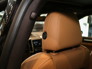 2016Platinum Edition g