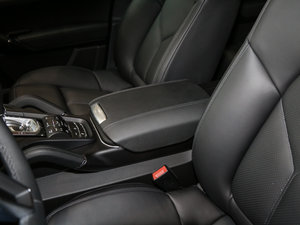 2016Platinum Edition g