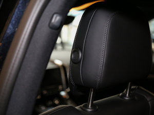 2016Platinum Edition g