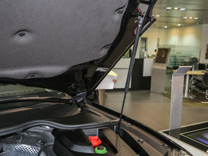 2016Platinum Edition 