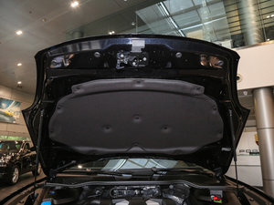 2016Platinum Edition 