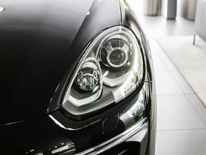 2016Platinum Edition ^