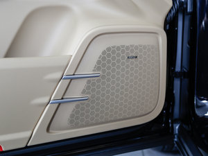 2016Platinum Edition g