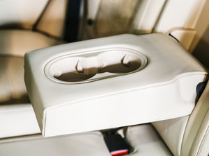 2016Platinum Edition g