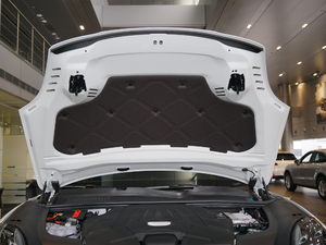 2018款S 2.9T 其它