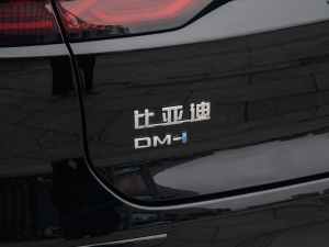 2025款DM-i 125KM尊荣型 细节外观