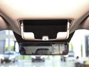 2025DM-i 1.5T 180km ׿Խ g