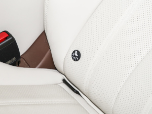 2025DM-i 1.5T 180km ׿Խ g